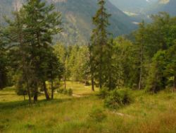 2013-08-25_Risserkogel (038).JPG
